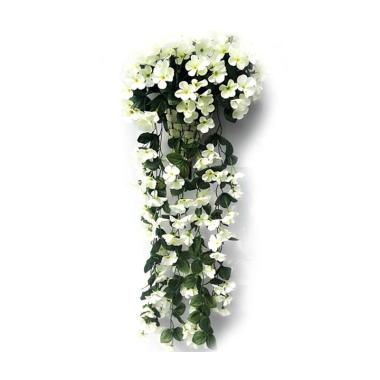 Green Flower Produk Berkualitas Harga Diskon Juli 2020 Blibli Com
