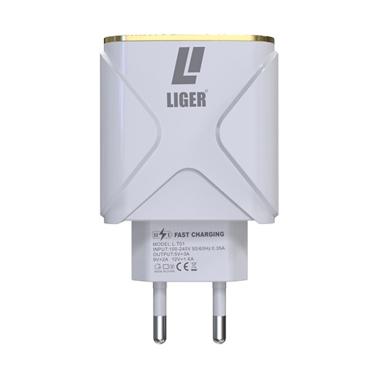 Jual Jete Adaptor Charger Dual Output Fast Charging Online Juni
