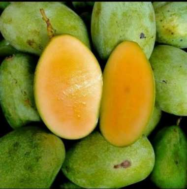 Mangga manalagi - buah mangga manalagi madu - 1kg
