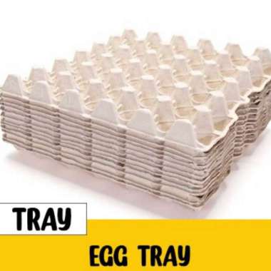 egg tray karpet telur kemasan telur box telur