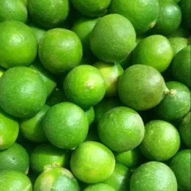 Buah Jeruk Nipis Full Hijau 1 KG