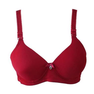 Aily ZR05 Import Cup B Bra Pori Wanita 40B Maroon