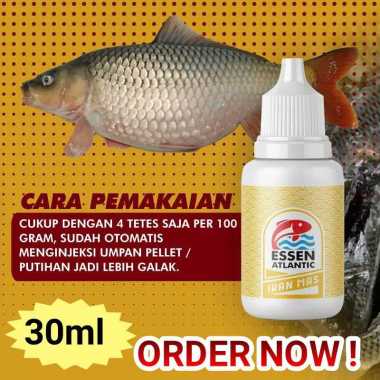 UMPAN MANCING IKAN MAS ESSEN ATLANTIC INDUK DAN TOTALAN 30ML