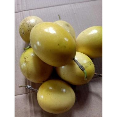 buah markisa segar 1 kg