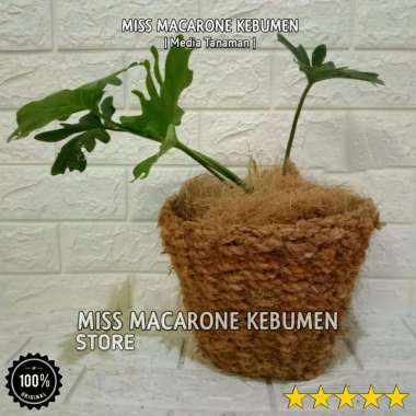 pot duduk sabut kelapa jumbo