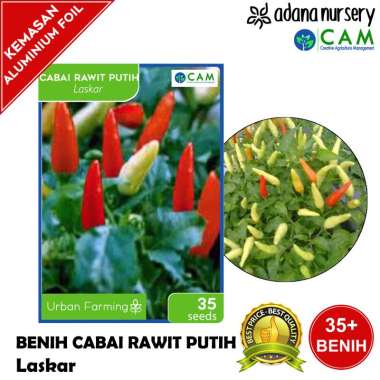 Benih / Biji Cabai Rawit Setan / Rawit Putih - Laskar -Repack 35 Seeds