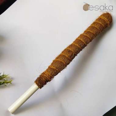 turus stik rambatan tanaman turus paralon sabut 50cm turus rambatan janda bolong monstera sirih gadi