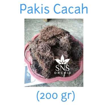 media tanam pakis cacah 200 gram akar pakis bongkah kotak anggrek Multicolor