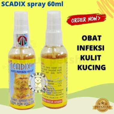 Harga Obat Jamur Kulit Terbaru November 2021  BigGo Indonesia