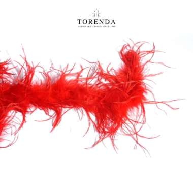 Torenda Feathers Swan Payet Ostrich Varian warna/ 2 Yard-Bulu Merah