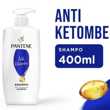 Promo Harga Pantene Shampoo Anti Dandruff 400 ml - Blibli