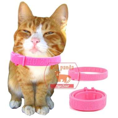 Kalung Kucing/Kalung kucing warna Pink/Tali kucing anti kutu -