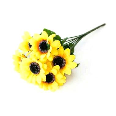 Jual Tanaman Bunga Matahari Terbaru 2020 Murah Blibli Com