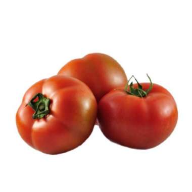 Tomat Beef Hidroponik - 1Kg