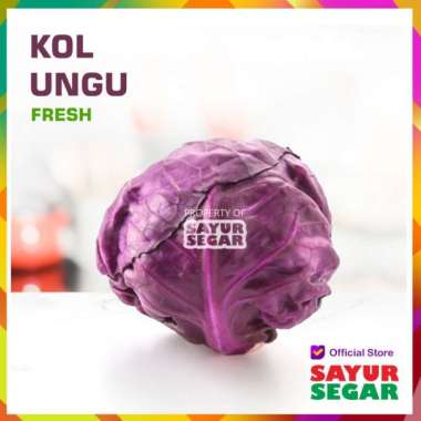 KOL - KUBIS UNGU [1 Buah]