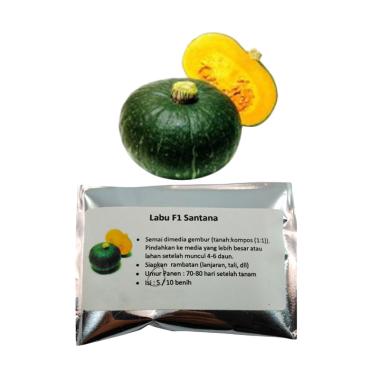 Puriegarden F1 Kabocha Labu Jepang Hijau Benih Tanaman