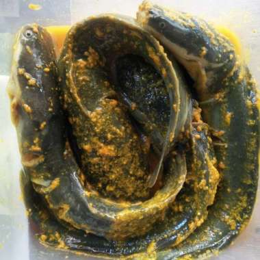 IKAN LELE BUMBU SIAP GORENG