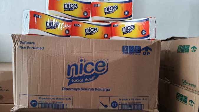 Grosir 1 Dus Tissue Tisu Facial Nice 250