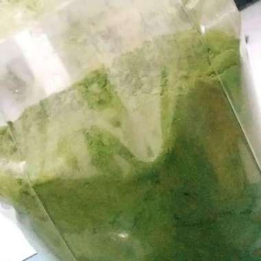 Bubuk Daun Kelor 1kg