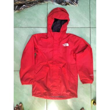Harga hoodie the north face sales original