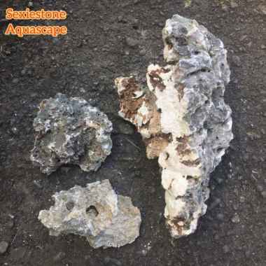 Batu Garong Sexiestone Aquascape Aquarium Paludarium Decor Taman Pot dll