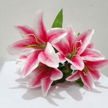 Jual Bunga Lily Online Baru Harga Termurah Juni 2020 Blibli Com