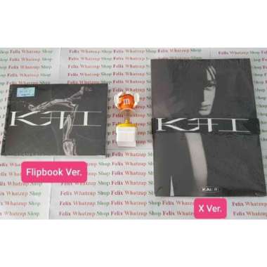 EXO Kai [1st Mini Album] Official Album SEALED VER. FLIPBOOK