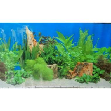 Jual Pasir Silika Silica Halus For Aquarium Substrat 1kg Online Desember 2020 Blibli