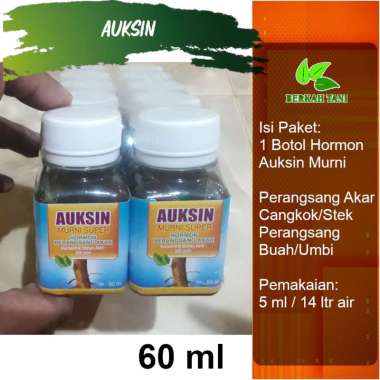 Auksin Auxin Merah