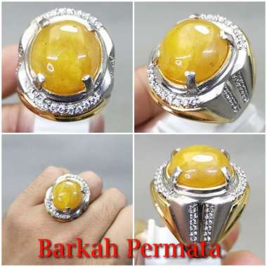 Cincin Batu Fosil Mani Gajah Asli Bagus Berkualitas n 2290