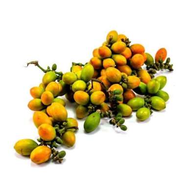 Biji Melinjo 100 Gram