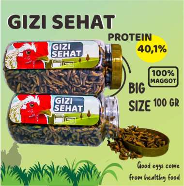 Jual Telur Ayam Serama Agustus 2021 Banyak Pilihan Harga Murah Blibli