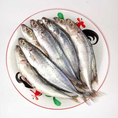 Ikan Layang Deles Segar 1kg