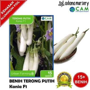 Benih / Biji Terong Putih - Kania F1 - Berkualitas - Repack 15 Seeds