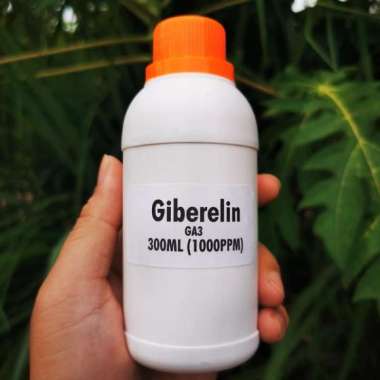 Hormon Tanaman Giberelin 300ml Pembungaan dan Pembuahan