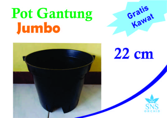 Pot Gantung Jumbo 22 cm Bunga Anggrek Cattleya Kawat Plastik Bulat Hitam Dendro Bulan Catleya Dendro