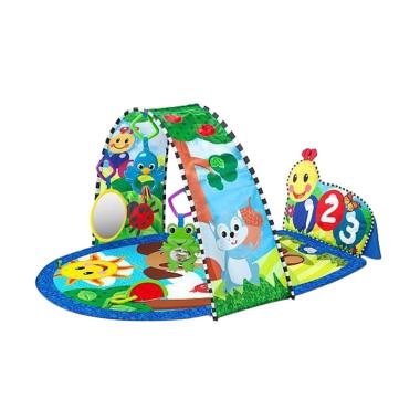baby einstein activity gym and saucer
