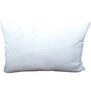 Bantal SILLICON DREAMLINE 50x70cm GC10101