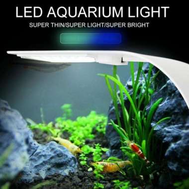 480 Koleksi Contoh Lampu Aquarium Gratis