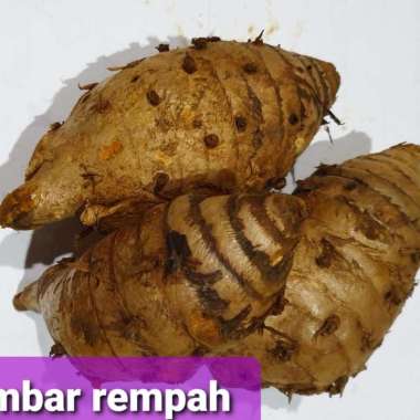 Temulawak segar 1kg.