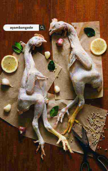 Ayam Kampung Segar, Daging Ayam Kampung Segar Utuh