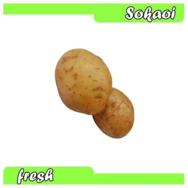 KENTANG SAYUR SEGAR SAYURAN SEGAR