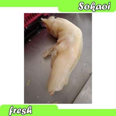 KIKIL SAPI TANPA TULANG KIKIL SAPI LOKAL KIKIL DAGING SAPI