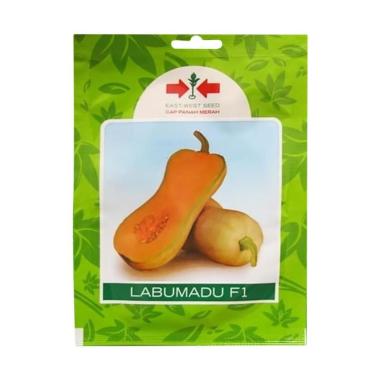 FreeOngkir 10 Butir Benih Labu Madu F1 Butternut Squash -