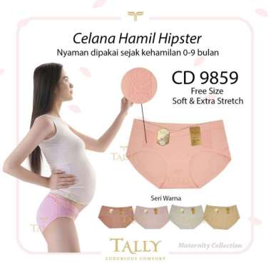 CD HAMIL Model Mini Tally 9859 9858 9859