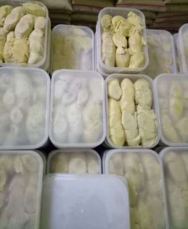 Durian Medan Standart Durian Nias