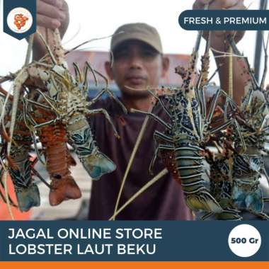 Jagal Online Store Lobster Laut Beku kemasan 500gr Termurah