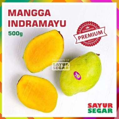 MANGGA INDRAMAYU PREMIUM [500g] FRESH
