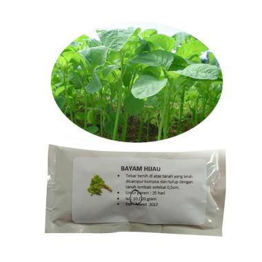 Puriegarden Bayam Hijau Benih Tanaman [10 g]