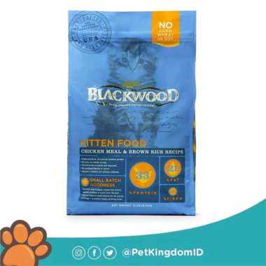 Blackwood kitten store